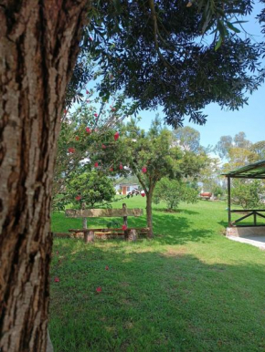Finca San Alejandro